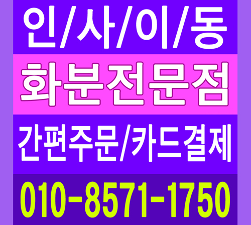 화분 동양란 서양란 선물